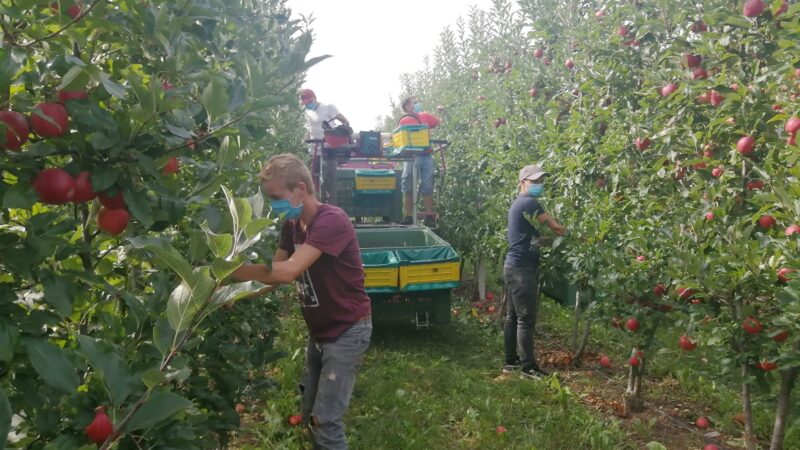 Coldiretti: tutela per le imprese e consumatori