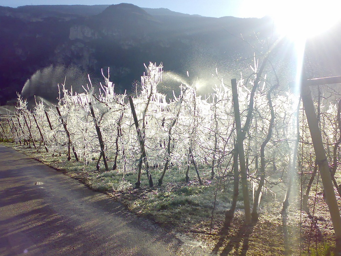 Flash di agricoltura