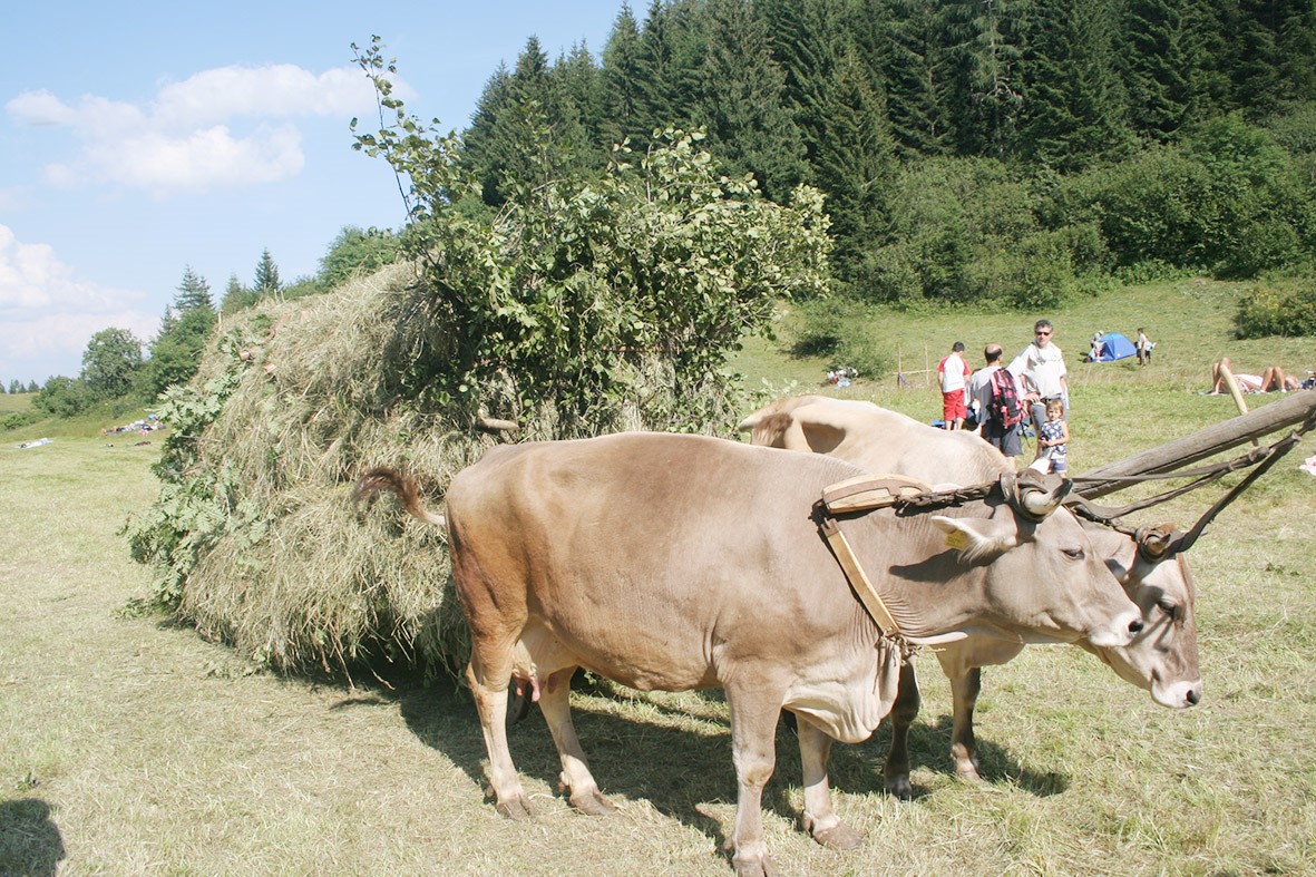 Maggio e giugno