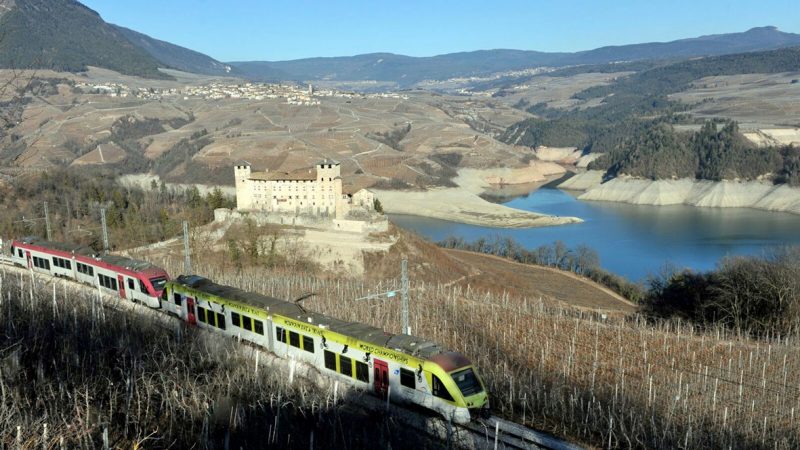 La transizione ecologica