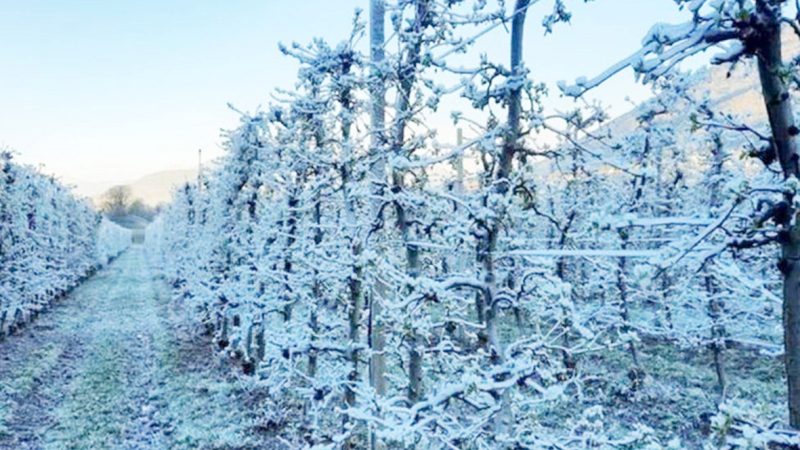 Cambiamenti climatici