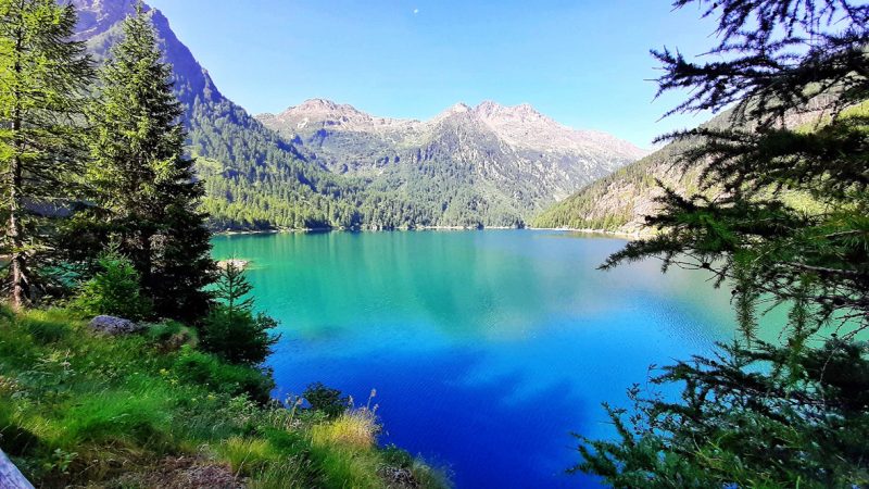 Da Pejo Fonti al Lago Pian Palù 