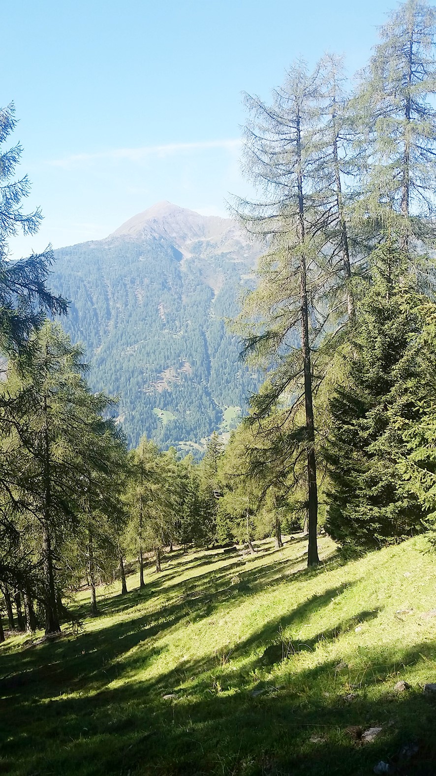 Malga Campo e lago di Celentino  