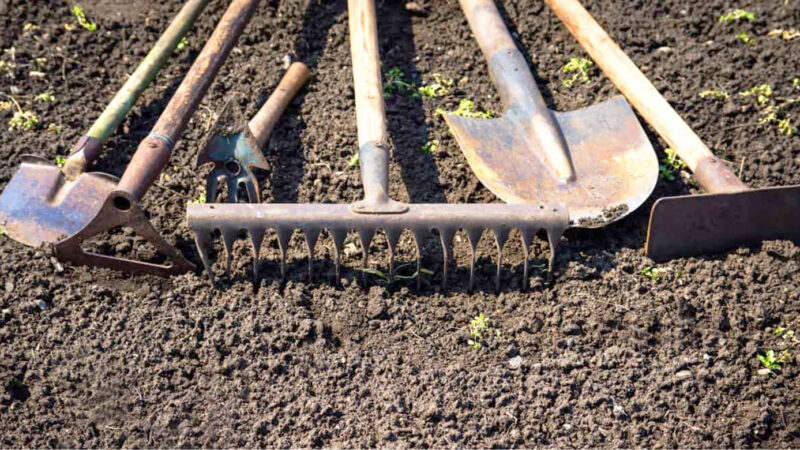 Dalla terra alla tavola “i consigli dell’esperto per preparare l’orto perfetto”