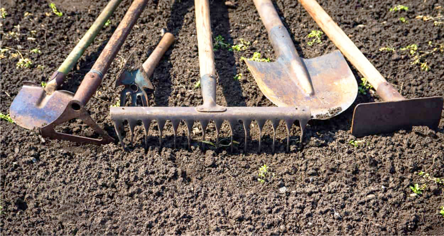 Dalla terra alla tavola “i consigli dell’esperto per preparare l’orto perfetto”