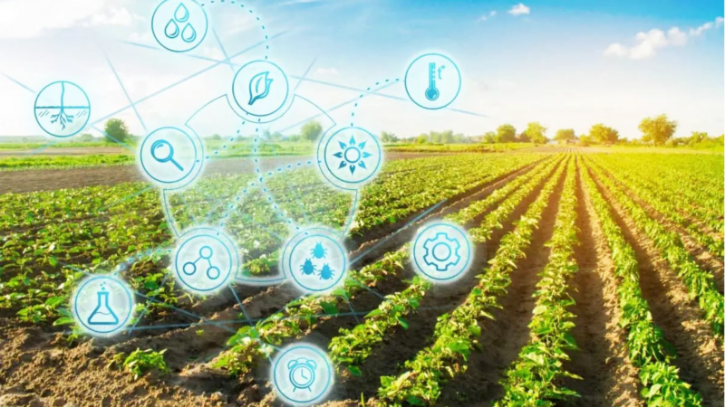 Piante “TEA” per l’innovazione in ambito agrario 
